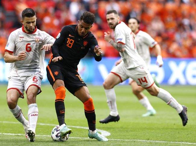 北马其顿VS荷兰比分预测，北马其顿vs荷兰比分预测球天下！