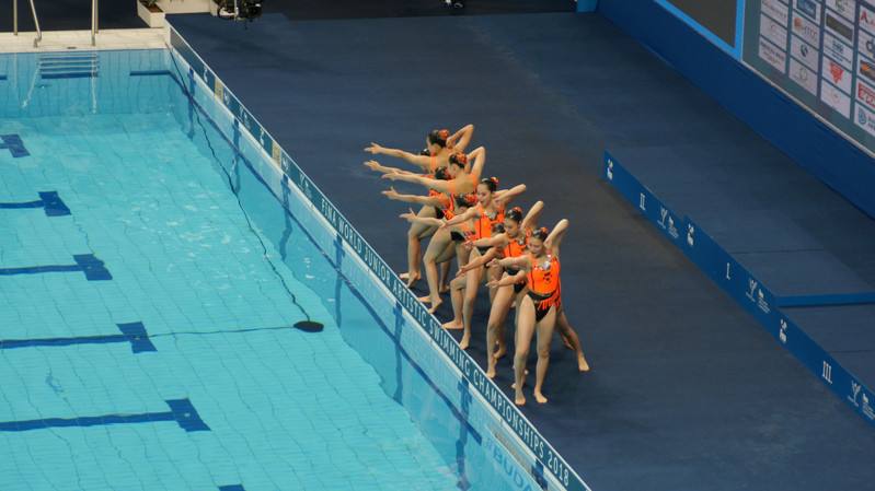 2015年世界游泳锦标赛，2015年世界游泳锦标赛跳水！